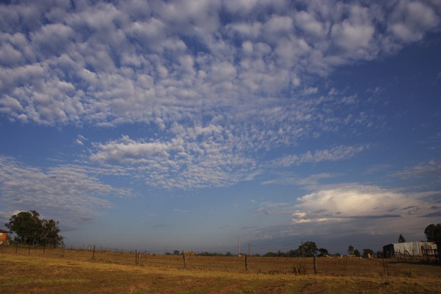 thunderstorm cumulonimbus_incus : Schofields, NSW   14 December 2006