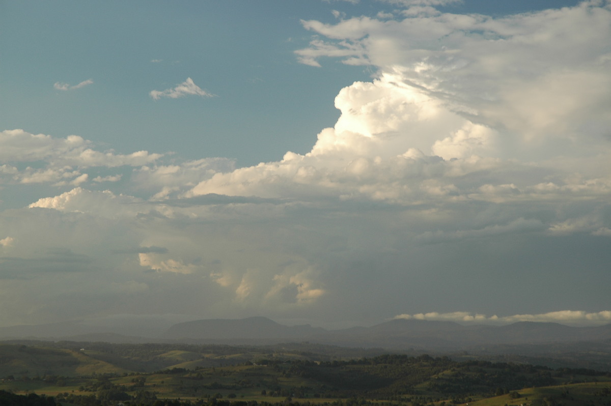 thunderstorm cumulonimbus_incus : McLeans Ridges, NSW   14 December 2006