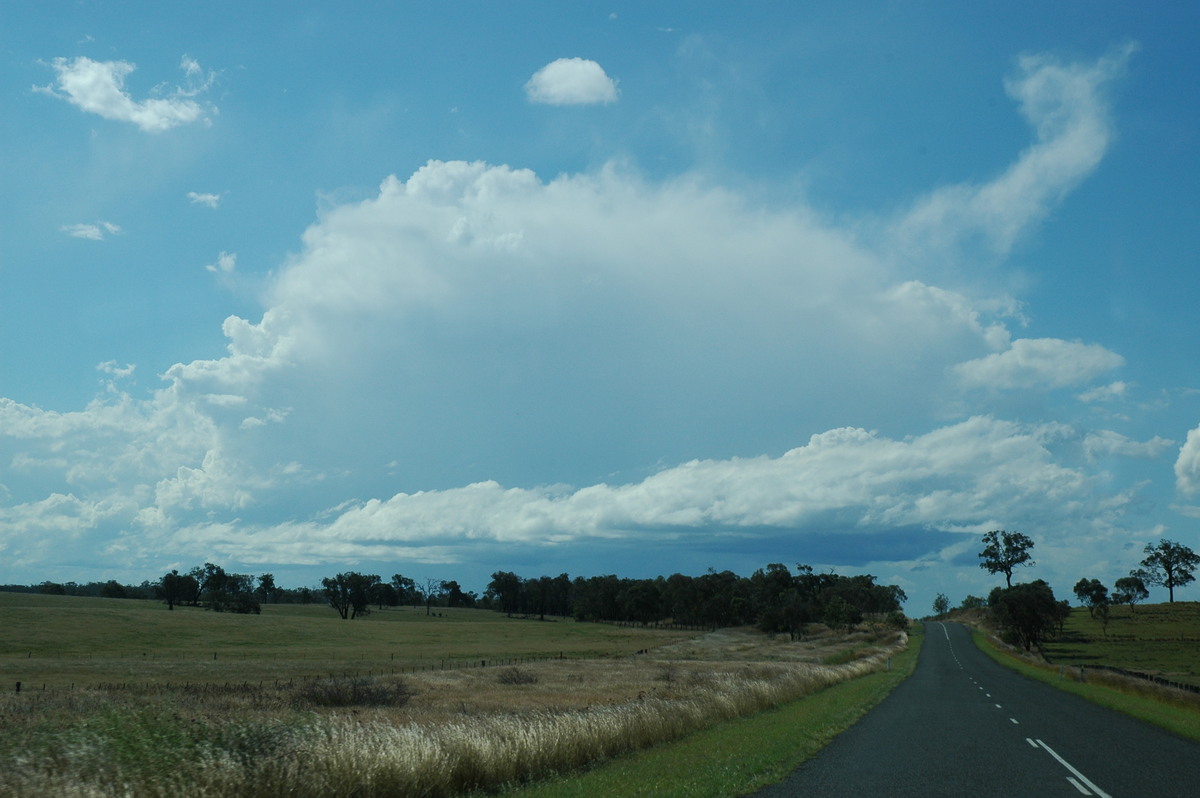 thunderstorm cumulonimbus_incus : W of Tenterfield, NSW   16 December 2006