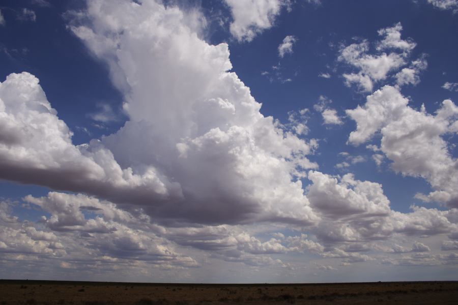 thunderstorm cumulonimbus_incus : 20km E of Hay, NSW   31 December 2006