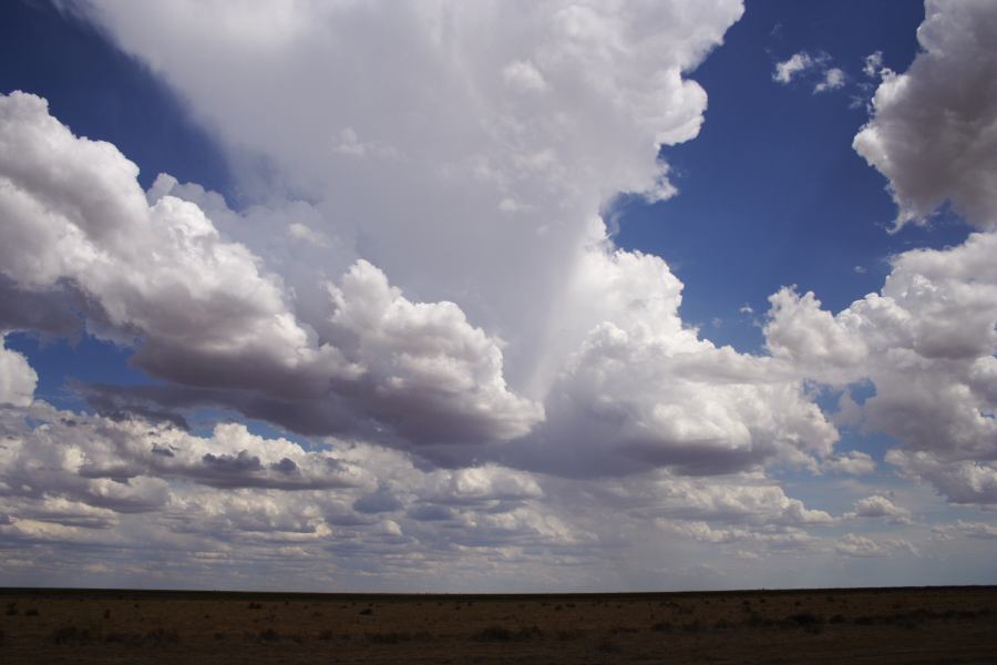 cumulus mediocris : 20km E of Hay, NSW   31 December 2006