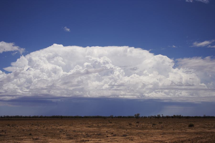 thunderstorm cumulonimbus_incus : ~20km N of Barringun, NSW   2 January 2007