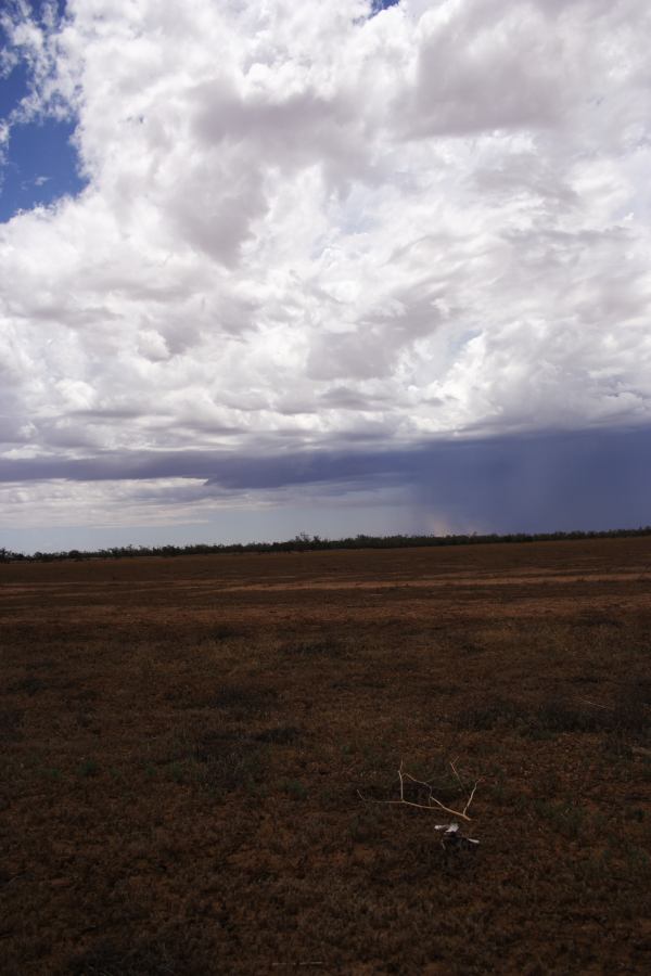 raincascade precipitation_cascade : ~20km N of Barringun, NSW   2 January 2007