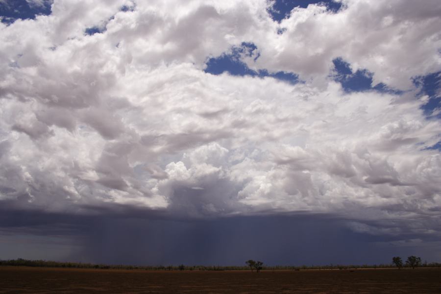 thunderstorm cumulonimbus_incus : ~30km N of Barringun, NSW   2 January 2007