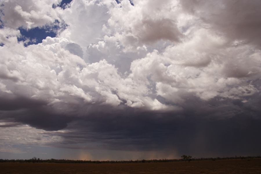 thunderstorm cumulonimbus_incus : ~30km N of Barringun, NSW   2 January 2007