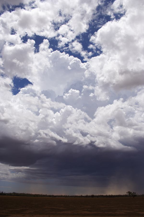 updraft thunderstorm_updrafts : ~30km N of Barringun, NSW   2 January 2007