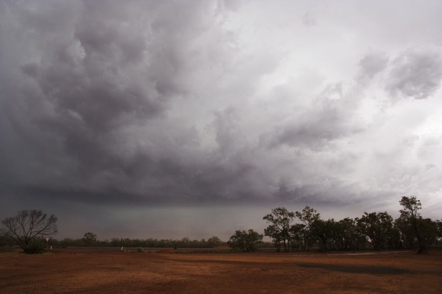 cumulonimbus supercell_thunderstorm : Barringun, NSW   2 January 2007