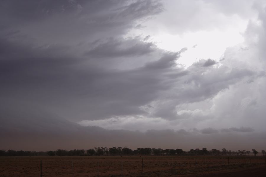 cumulonimbus supercell_thunderstorm : 10km N of Barringun, NSW   2 January 2007