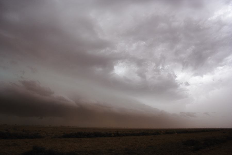 cumulonimbus supercell_thunderstorm : 30km N of Barringun, NSW   2 January 2007