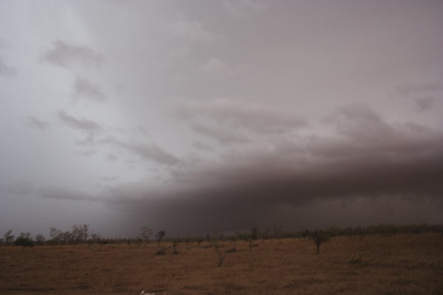 shelfcloud shelf_cloud : 50km N of Barringun, NSW   2 January 2007