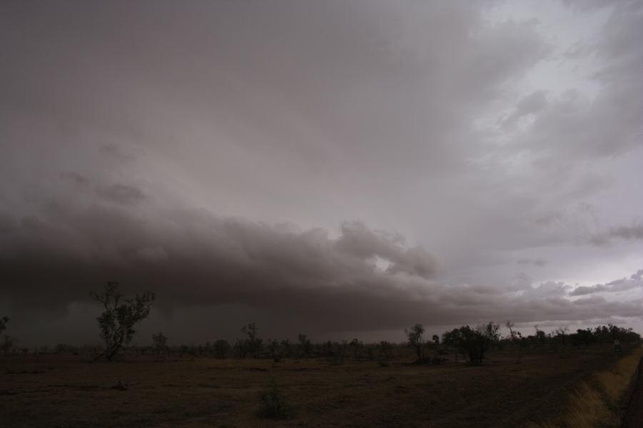 cumulonimbus supercell_thunderstorm : 50km N of Barringun, NSW   2 January 2007