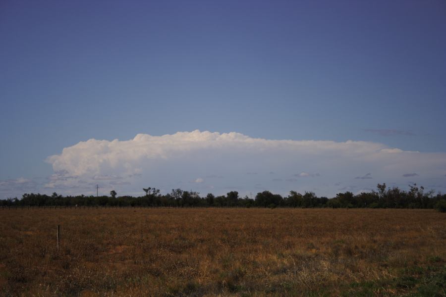 thunderstorm cumulonimbus_incus : 40km N of Cunumulla, Qld   3 January 2007