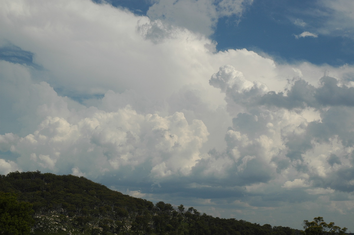 thunderstorm cumulonimbus_incus : Tenterfield, NSW   12 January 2007
