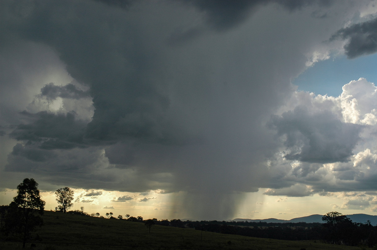 thunderstorm cumulonimbus_incus : W of Tenterfield, NSW   12 January 2007