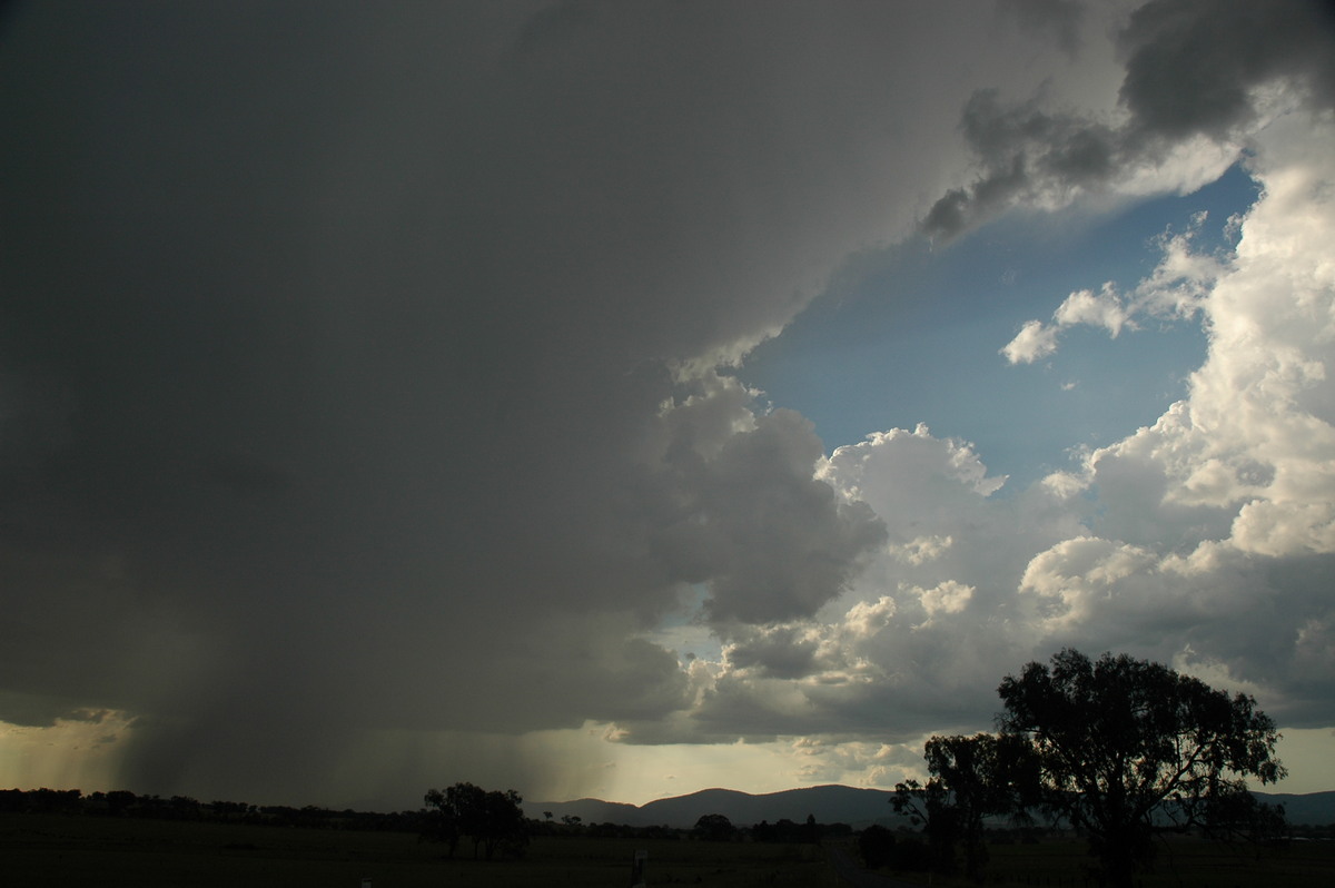 thunderstorm cumulonimbus_incus : W of Tenterfield, NSW   12 January 2007