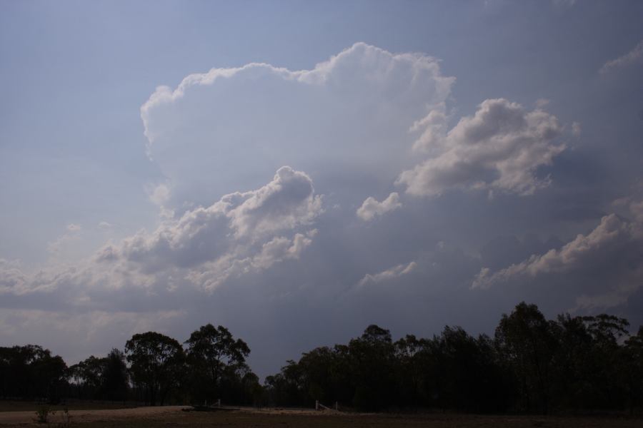 thunderstorm cumulonimbus_incus : 40km W of Millmerran, NSW   14 January 2007