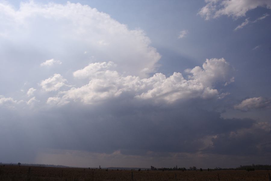 thunderstorm cumulonimbus_incus : 40km W of Millmerran, NSW   14 January 2007