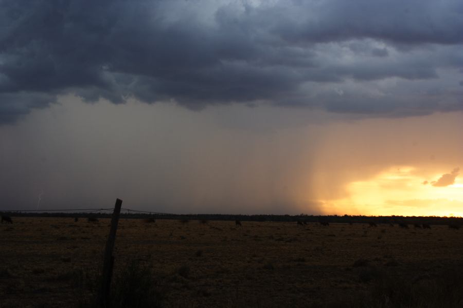 raincascade precipitation_cascade : 40km N of Goondiwindi, NSW   14 January 2007