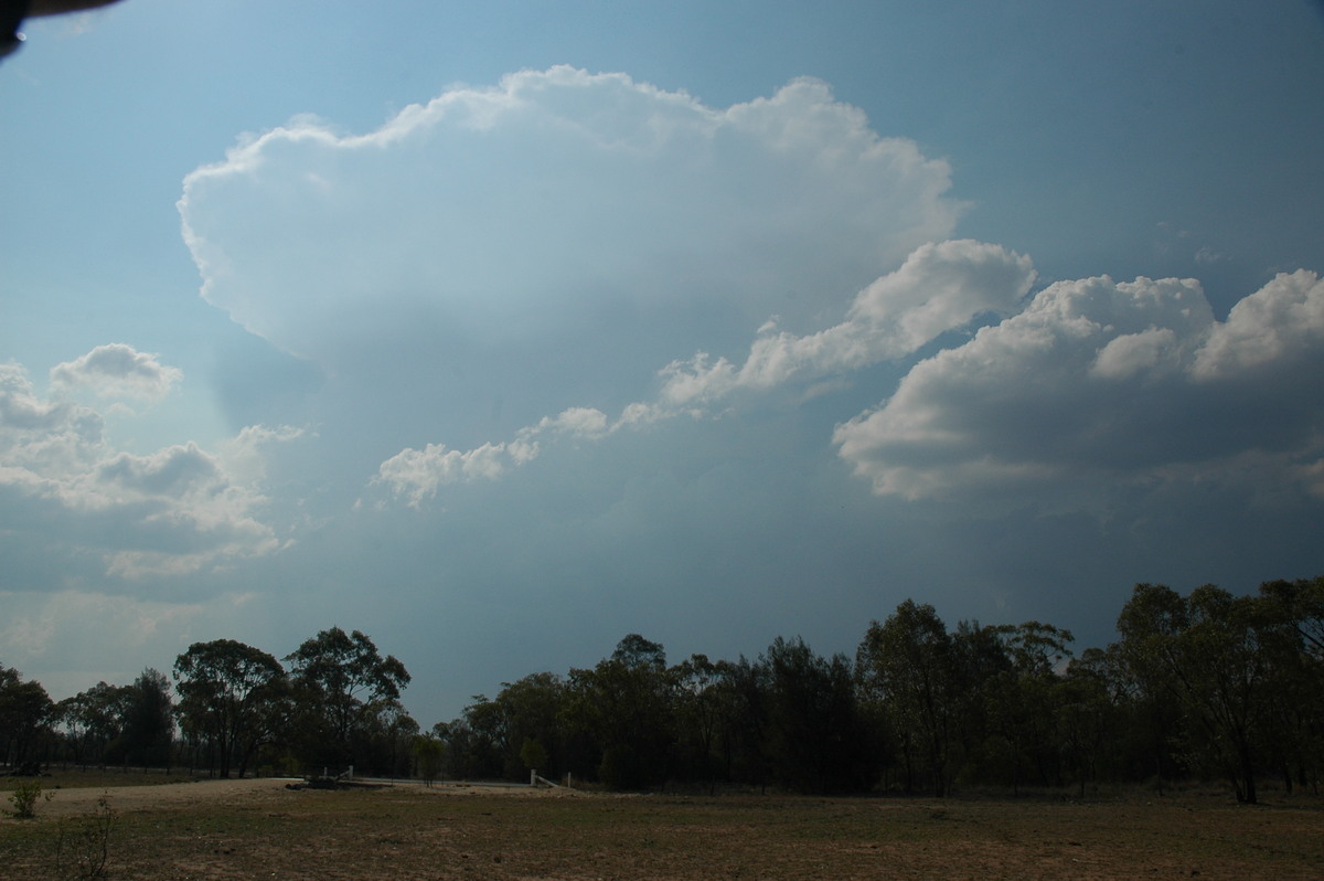 thunderstorm cumulonimbus_incus : SW of Milmerran, QLD   14 January 2007