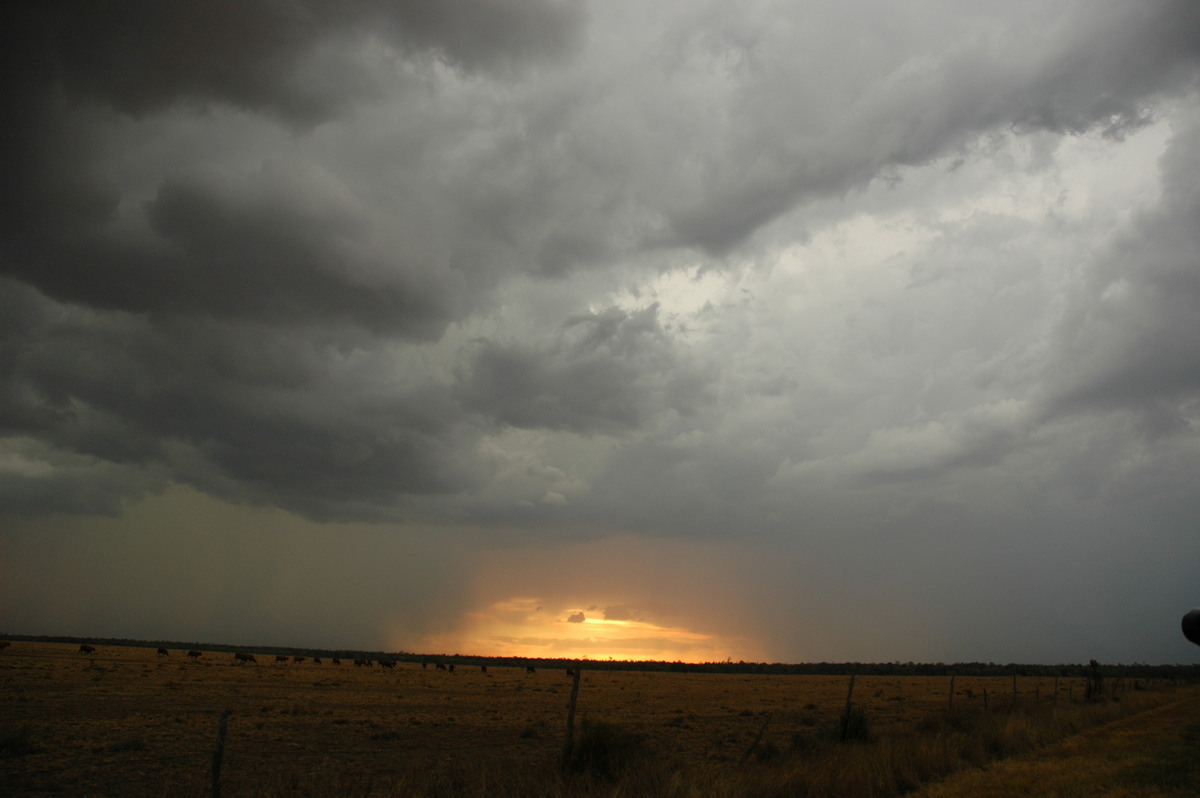 raincascade precipitation_cascade : N of Goodiwindi, QLD   14 January 2007