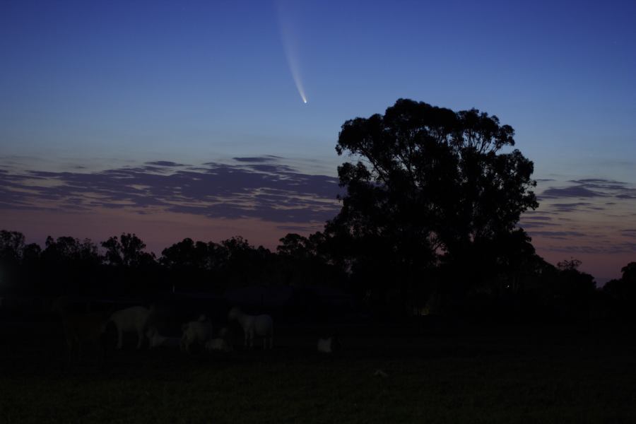 favourites jimmy_deguara : Comet McNaught, Schofields, NSW   20 January 2007