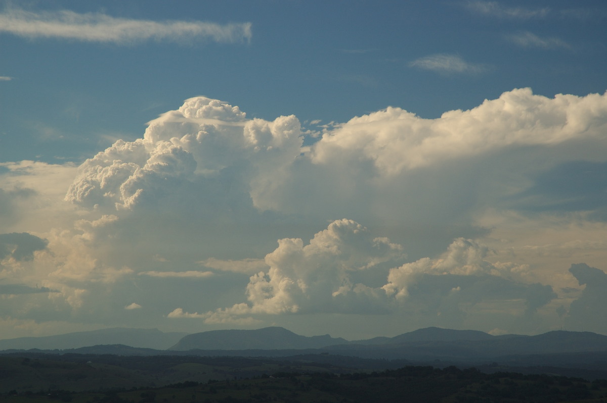 thunderstorm cumulonimbus_incus : McLeans Ridges, NSW   22 January 2007