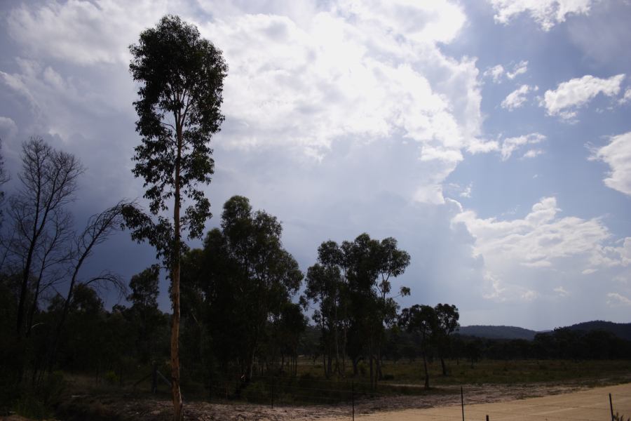 thunderstorm cumulonimbus_incus : ~20km N of Colo Heights, NSW   23 January 2007