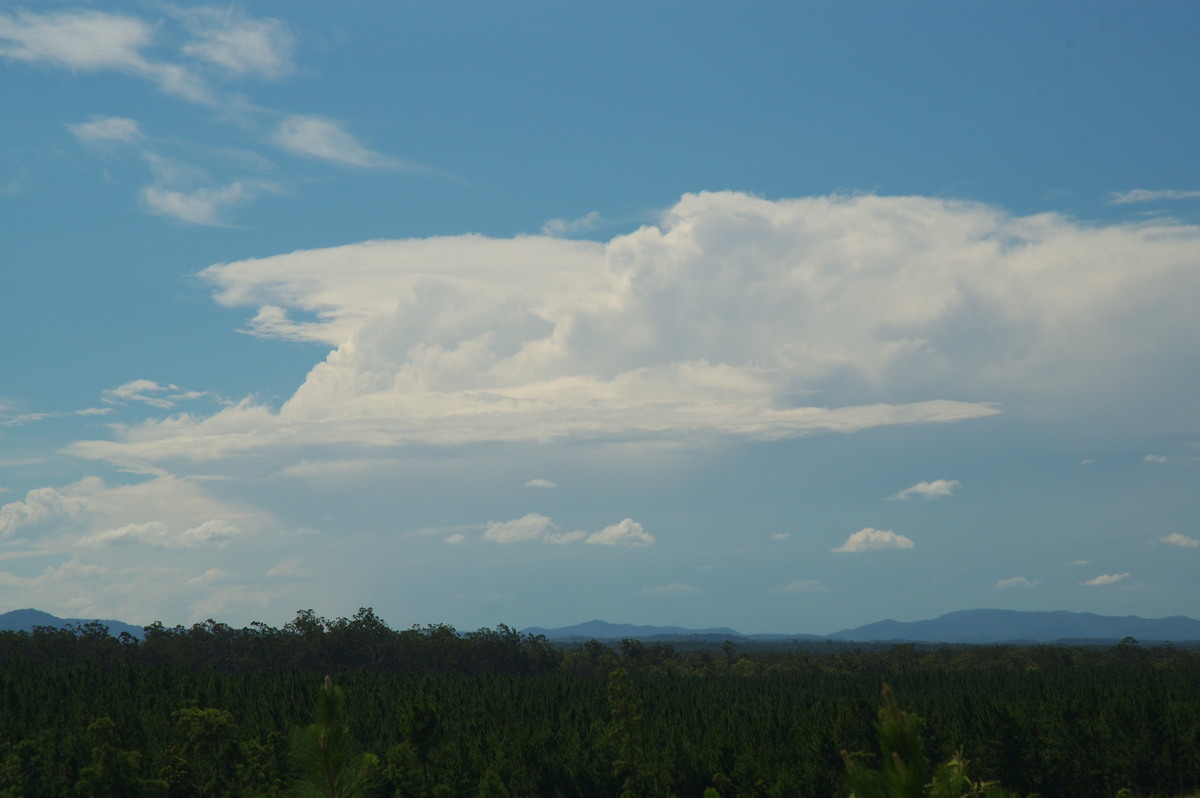 thunderstorm cumulonimbus_incus : near Grafton, NSW   26 January 2007