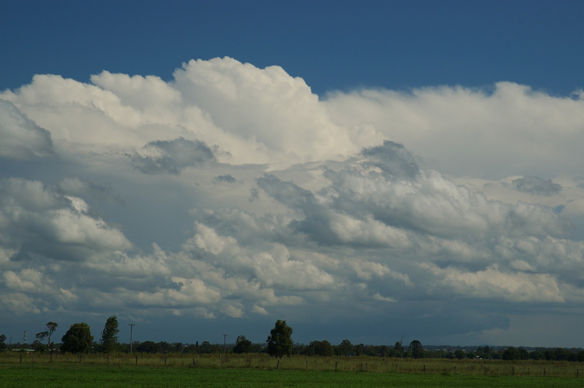 cumulus mediocris : near Grafton, NSW   26 January 2007