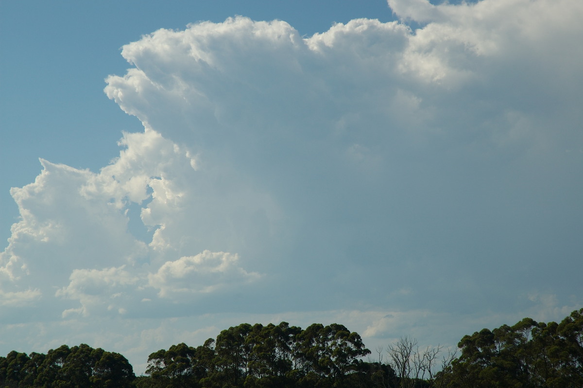 thunderstorm cumulonimbus_incus : Alstonville, NSW   27 January 2007