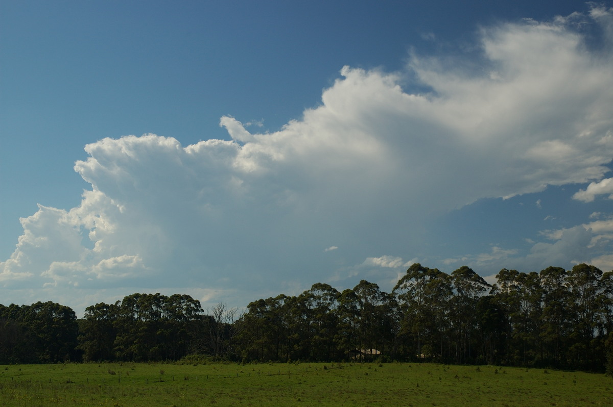anvil thunderstorm_anvils : Alstonville, NSW   27 January 2007