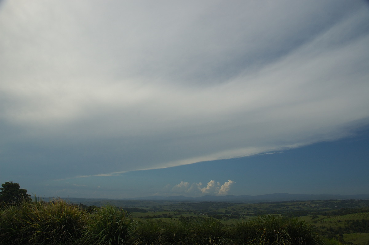 anvil thunderstorm_anvils : McLeans Ridges, NSW   31 January 2007