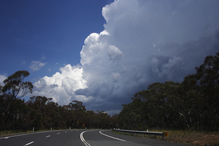 thunderstorm cumulonimbus_incus : W of Mt Tomah, NSW   3 February 2007