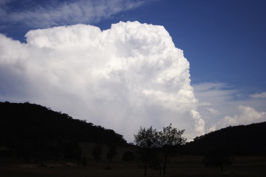 updraft thunderstorm_updrafts : near Ilford, NSW   3 February 2007