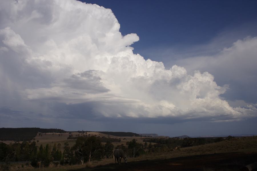 thunderstorm cumulonimbus_incus : S of Cherry Tree Hill, NSW   3 February 2007