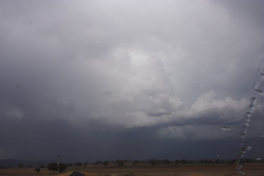 cumulonimbus thunderstorm_base : W of Gulgong, NSW   10 February 2007