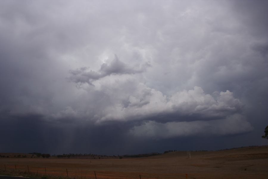 thunderstorm cumulonimbus_incus : W of Gulgong, NSW   10 February 2007