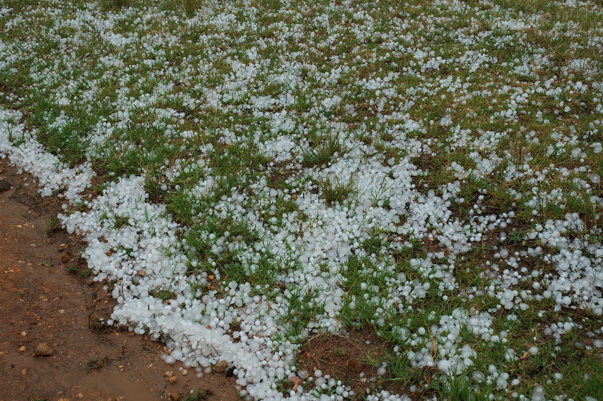 hailstones hail_stones : S of Tenterfield, NSW   10 February 2007