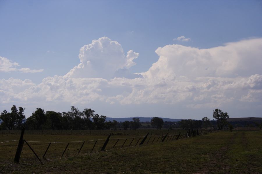 thunderstorm cumulonimbus_incus : Dunedoo, NSW   11 February 2007