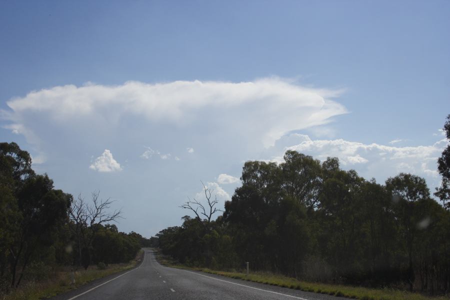 thunderstorm cumulonimbus_incus : W of Dunedoo, NSW   11 February 2007