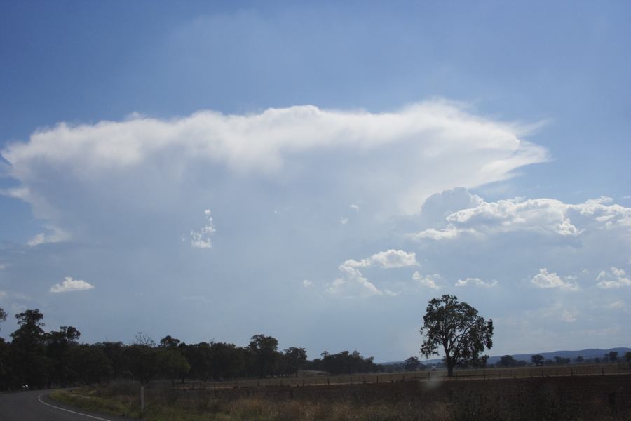 thunderstorm cumulonimbus_incus : W of Dunedoo, NSW   11 February 2007