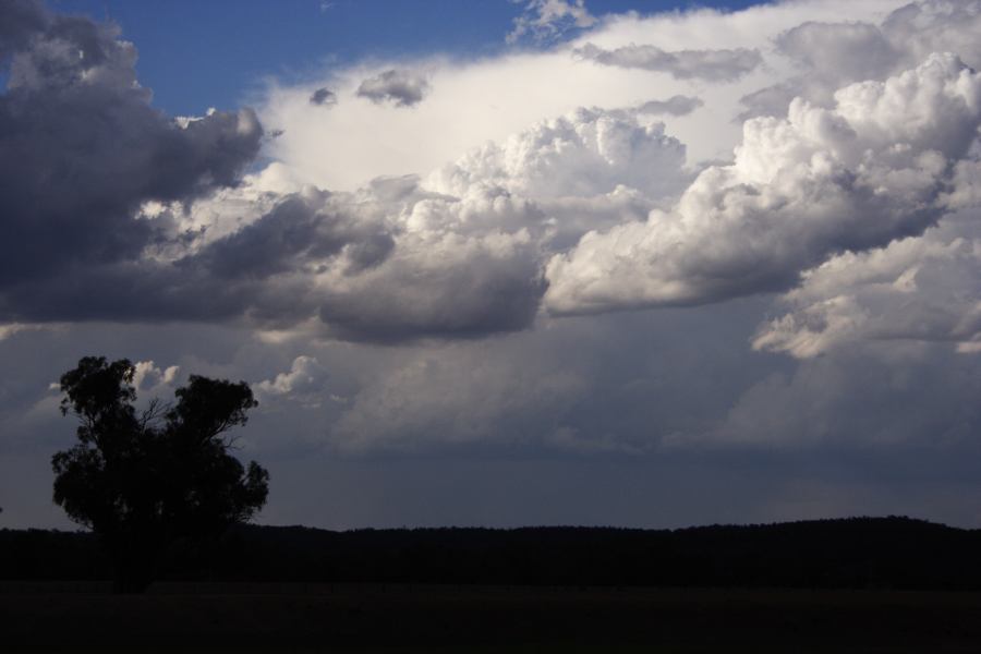 thunderstorm cumulonimbus_incus : Elong Elong, NSW   11 February 2007