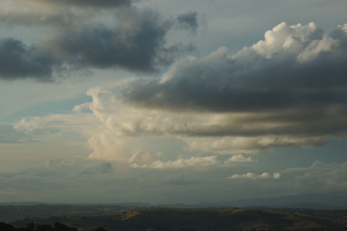 thunderstorm cumulonimbus_incus : McLeans Ridges, NSW   11 February 2007