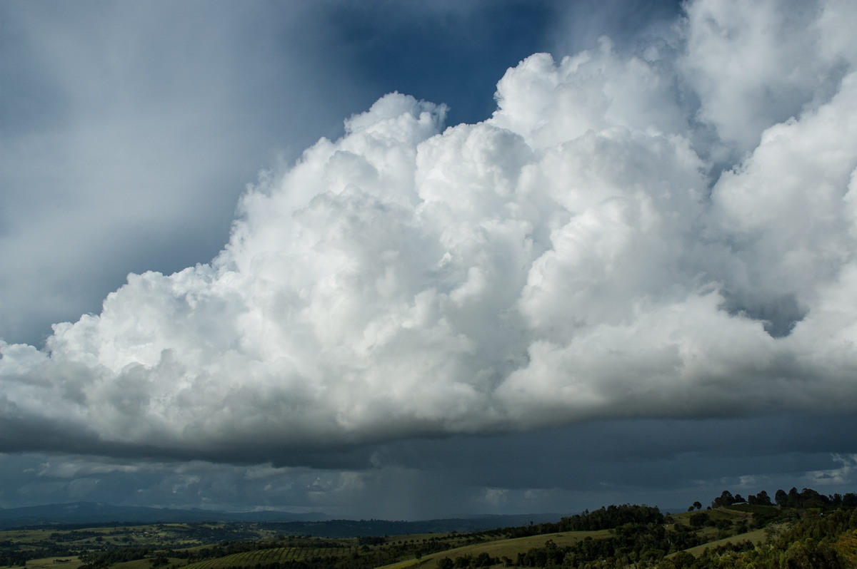 cumulus congestus : McLeans Ridges, NSW   14 February 2007