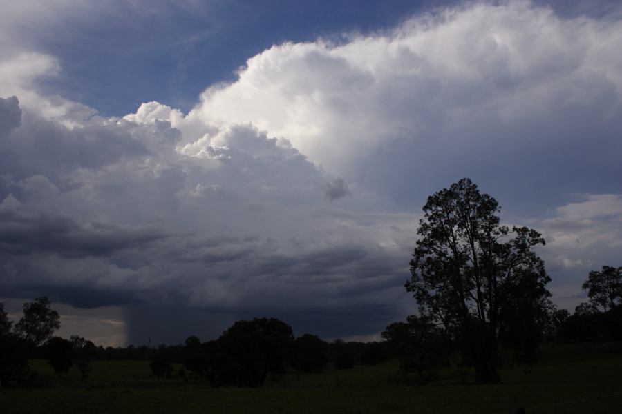 thunderstorm cumulonimbus_incus : Pacific Park, NSW   19 February 2007