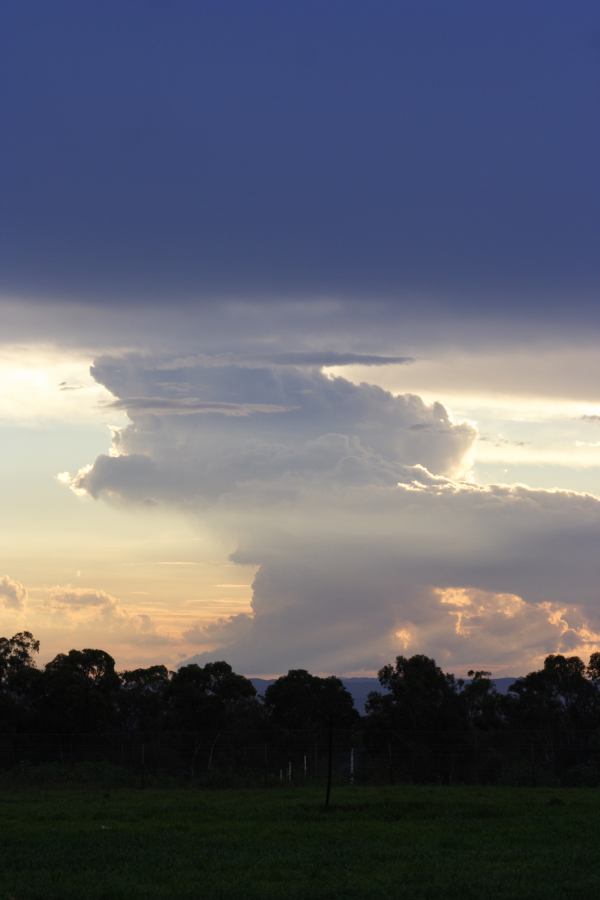 thunderstorm cumulonimbus_incus : Schofields, NSW   22 February 2007