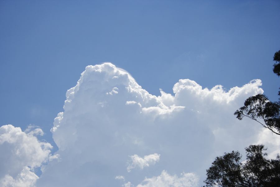 thunderstorm cumulonimbus_calvus : Kurrajong region, NSW   24 February 2007