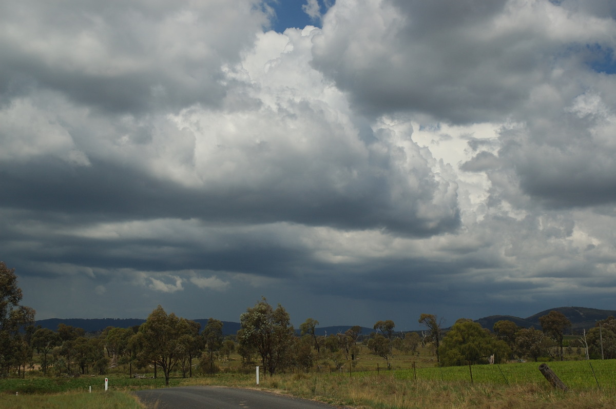 cumulus congestus : near Deepwater, NSW   25 February 2007
