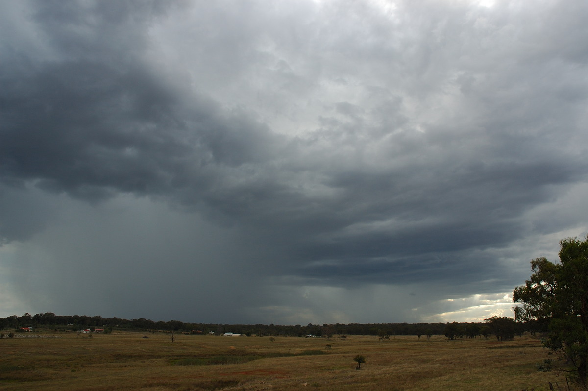 raincascade precipitation_cascade : Emmaville, NSW   25 February 2007