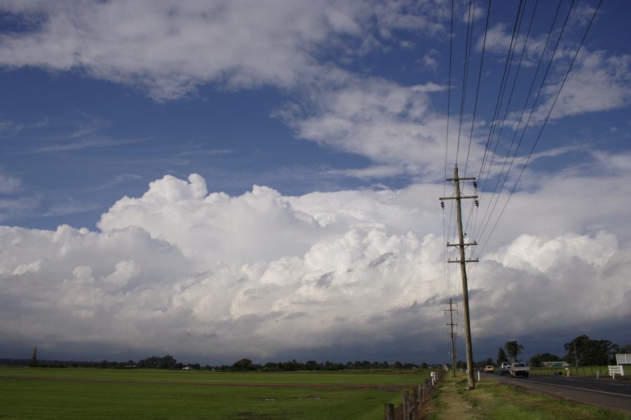 thunderstorm cumulonimbus_calvus : Windsor, NSW   28 February 2007